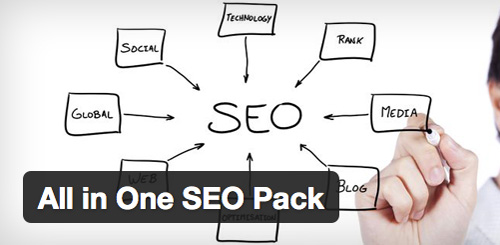 All in One Seo